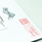 text custom qr code design, colorful qr code, branded qr code with logo