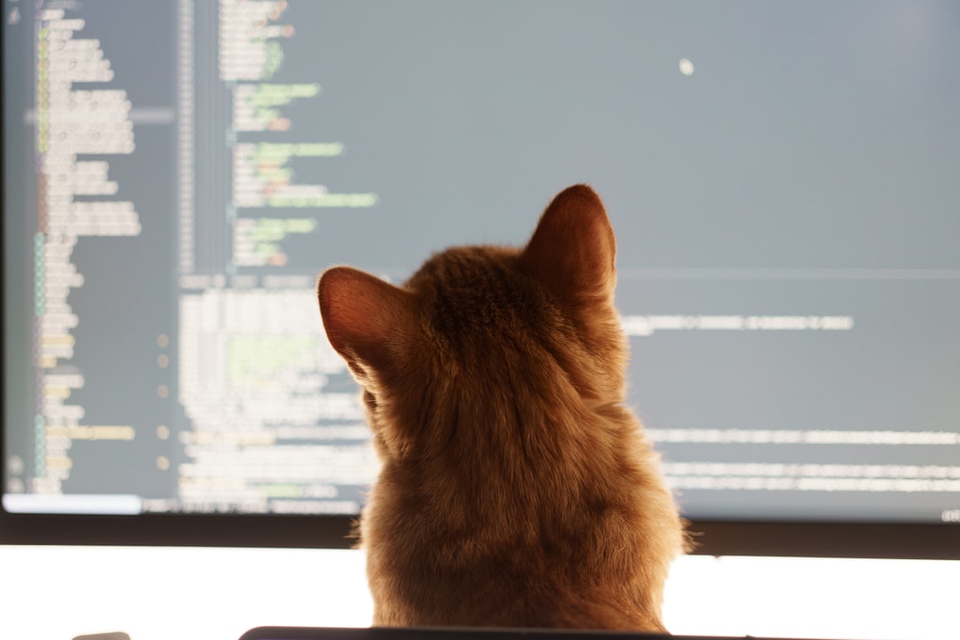 a cat sitting in front of a computer monitor terminal window, httpie command, api json response, developer typing code