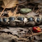 Coyote Excrement: Identification, Ecological Role, and Insights into Wildlife Behavior