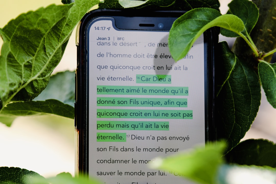 a cell phone sitting on top of a tree live chat window, ecommerce order details, customer support agent, chatbot conversation