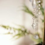 a close up of a plant with beads hanging from it small prosecco bottles, mini sparkling wine, italian prosecco glasses