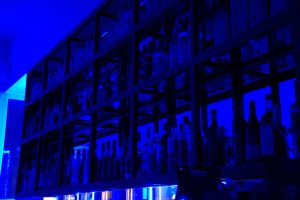 Shelves of bottles glow under blue light. cloud data center servers racks blue lighting