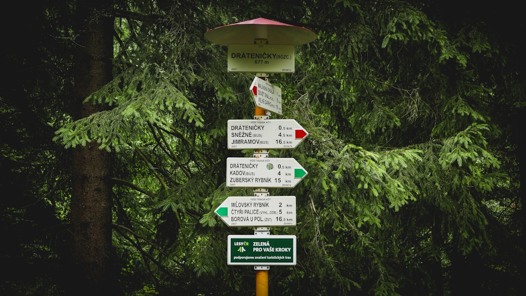 street signs near green tree multiple directional signposts with question marks, crossroads concept, decision making