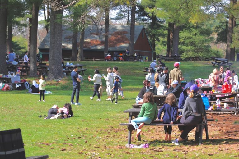a group of people sitting on top of a park bench team picnic, summer park, coworkers, outdoor lunch
