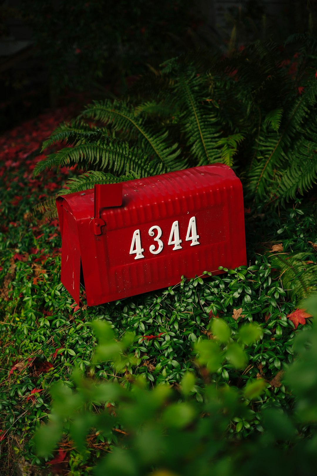 Red mailbox with house number 4344 among greenery delivery package, payment card, home address