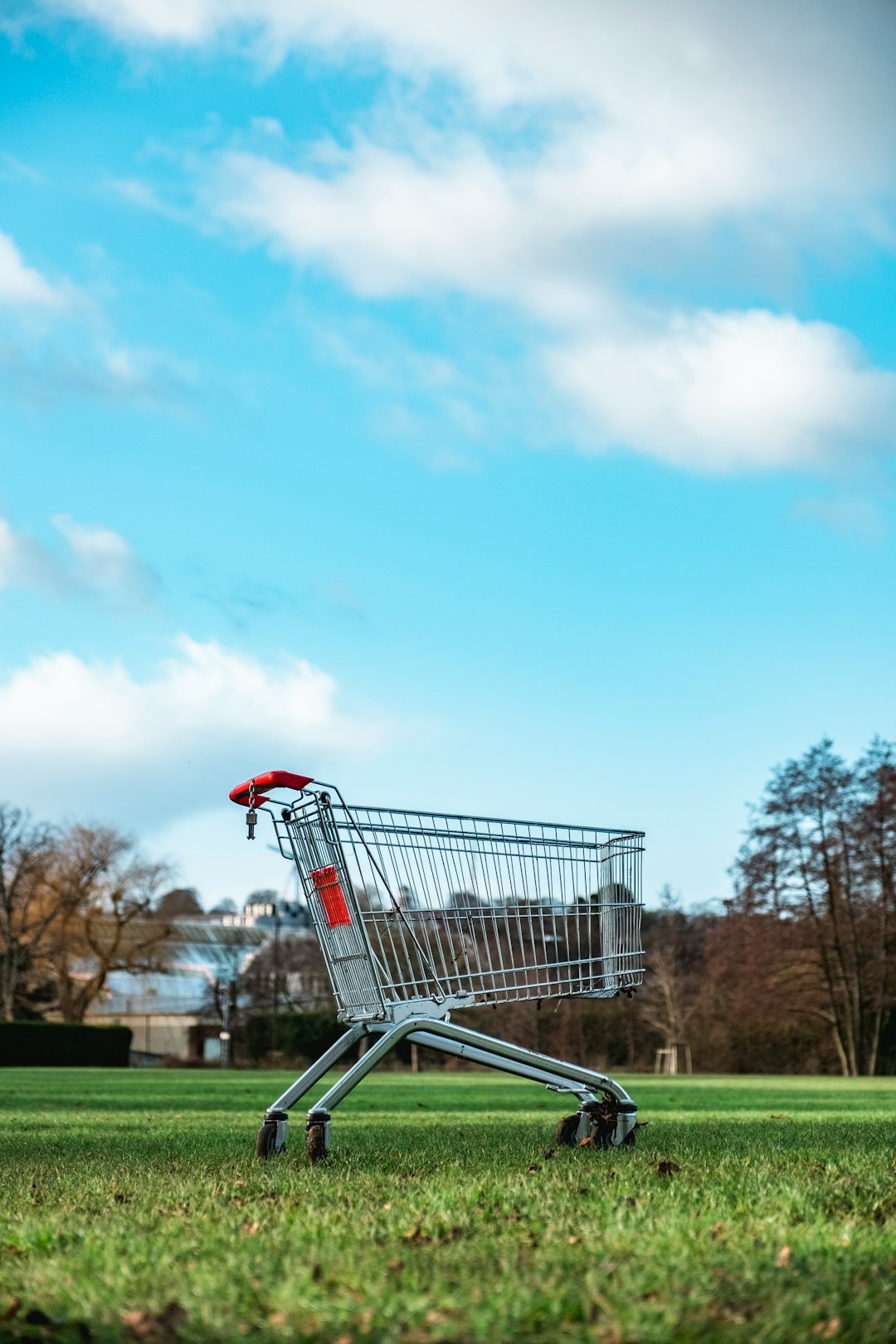 gray metal shopping cart retargeting ads, abandoned cart, product reminder, online shopper