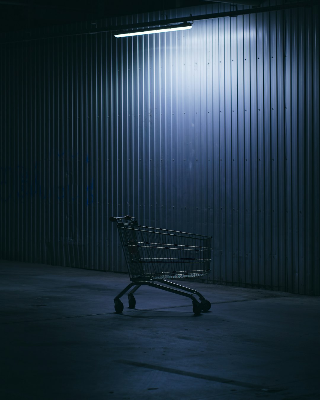 shopping cart in a room retargeting ads, abandoned cart, product reminder, online shopper