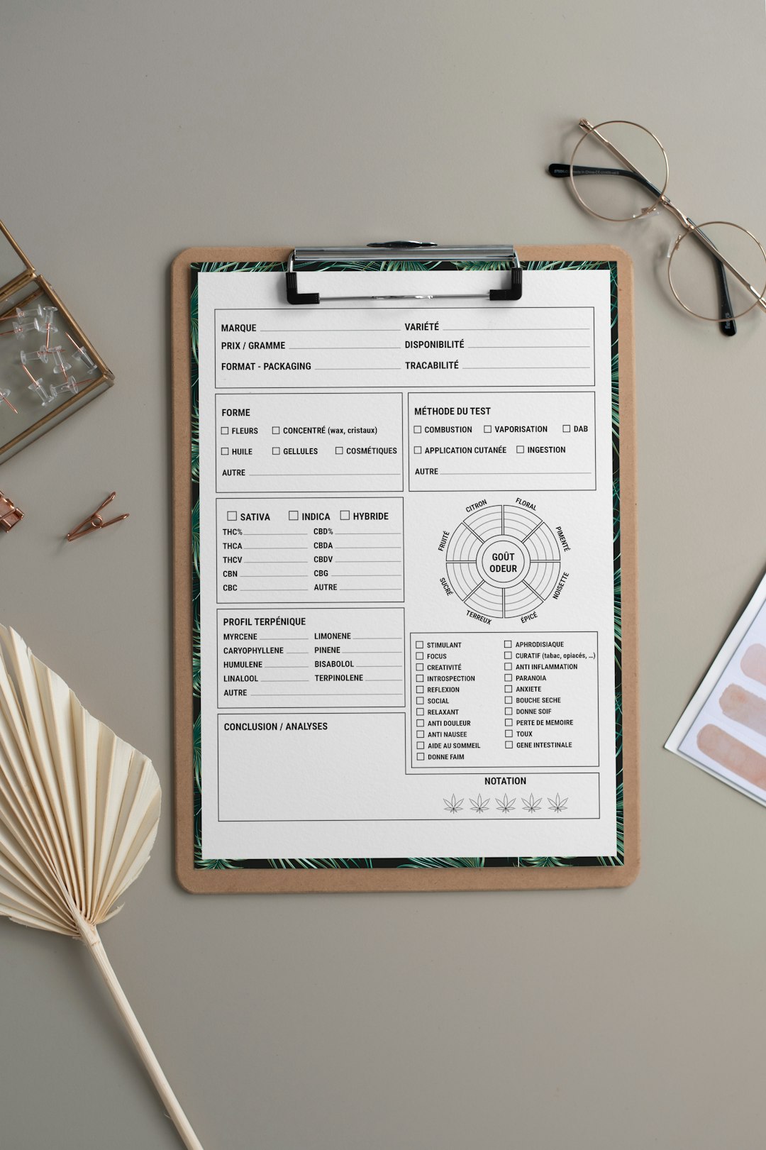 Clipboard with forms and glasses on a desk therapist checklist, caregiver handout, sensory plan