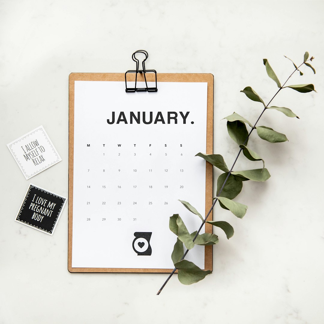 minimalist photography of a calendar wit green leaves february email calendar, newsletter planning, marketing desk